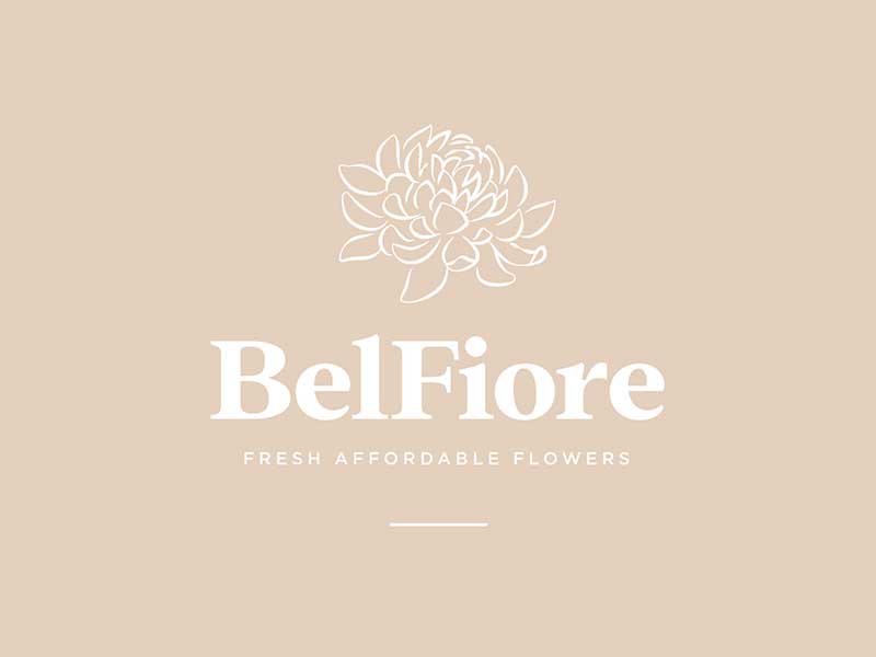 freehand NZ graphic design