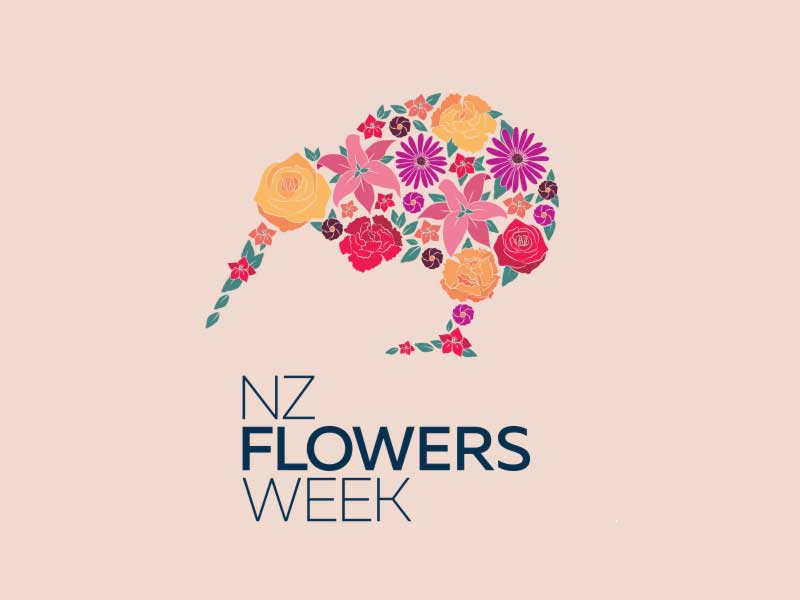 freehand NZ graphic design