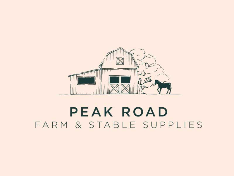 freehand NZ graphic design