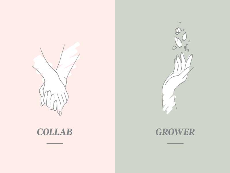 freehand NZ graphic design