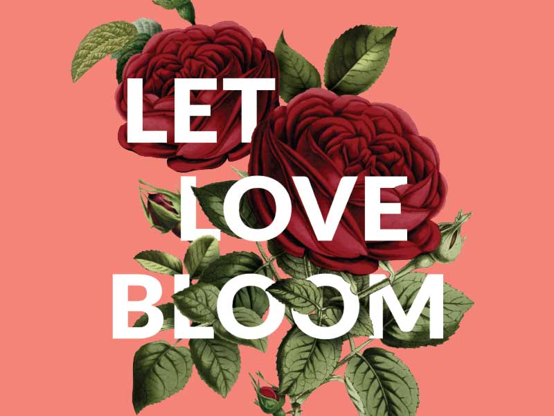 freehand NZ graphic design