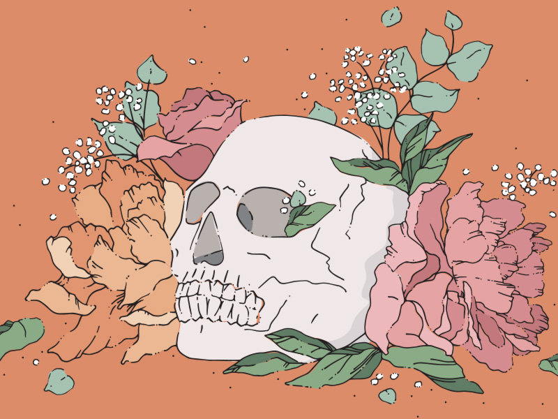 freehand NZ Illustration