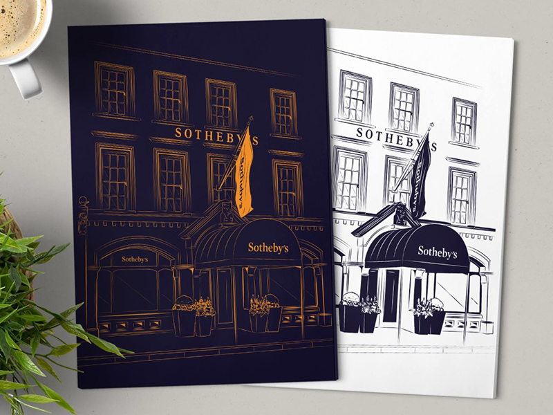 freehand NZ Illustration