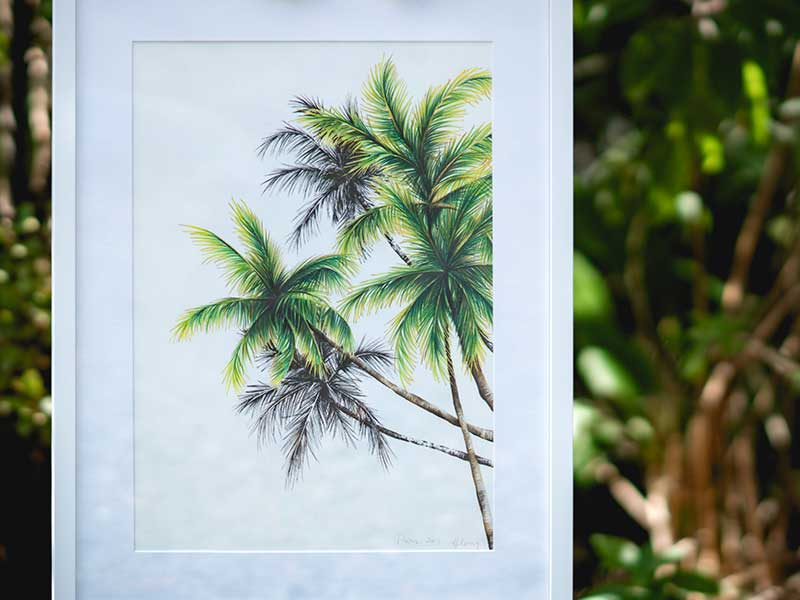 freehand NZ Illustration